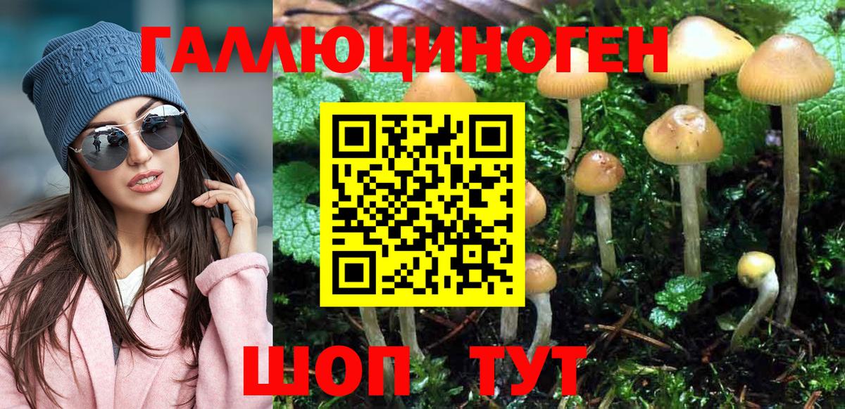 Псилоцибиновые грибы Magic Shrooms Тула