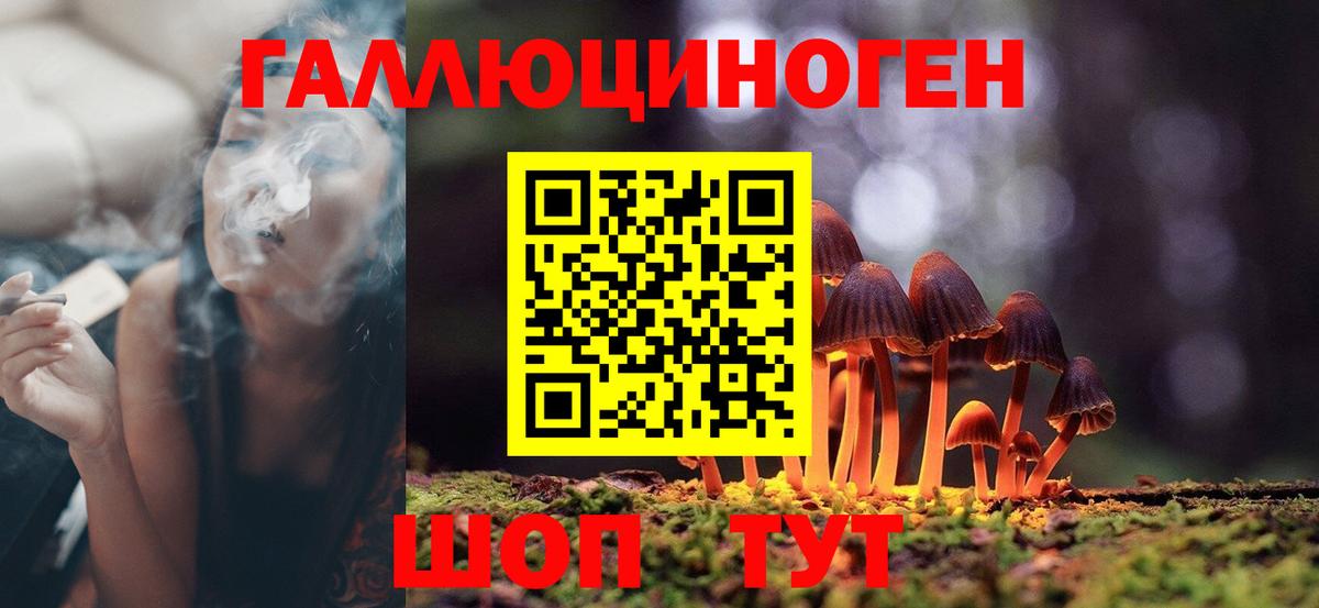 Тула  Галлюциногенные грибы Cubensis  Вход с VPN  Галлюциногенные грибы мицелий 